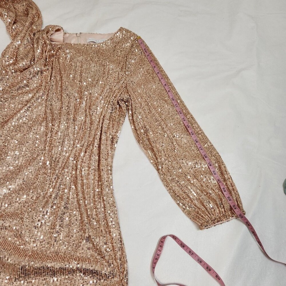 Preston & York Rosa Sequin Dress Long Blouson Sleeve Champagne Gold Size 16 (12) - Picture 11 of 15